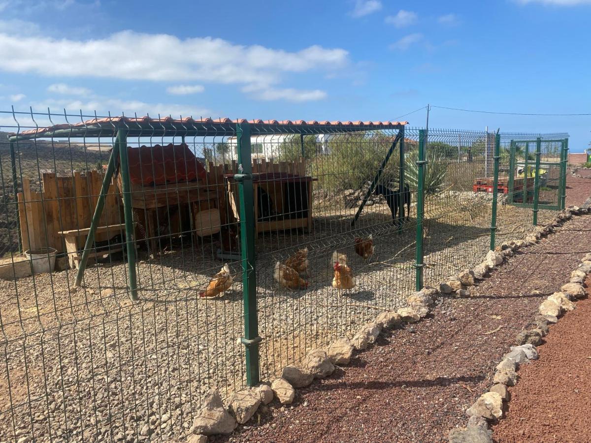 Mini Casa Finca Arcoiris Tenerife Гиа-де-Исора Экстерьер фото